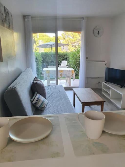 Joli A 100m De La Mer, Jardin Et Piscine Appartement