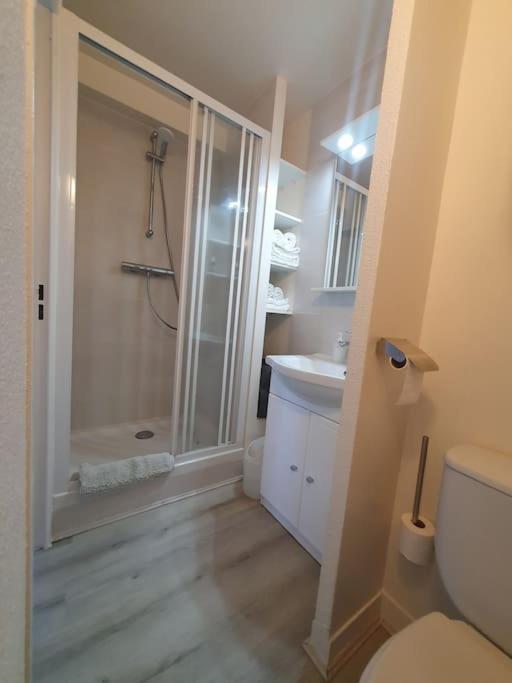 Appartement Joli A 100m De La Mer, Jardin Et Piscine Fréjus