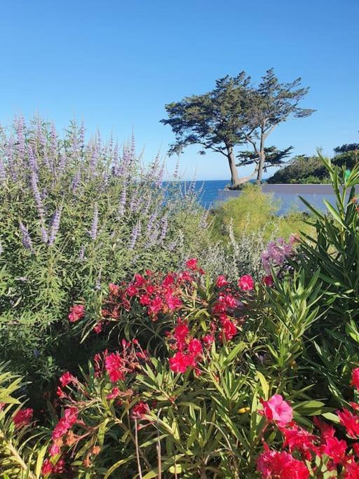 Appartement Joli A 100m De La Mer, Jardin Et Piscine *