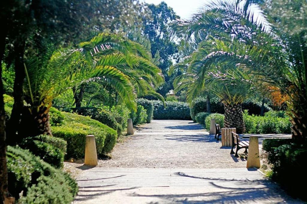 Joli A 100m De La Mer, Jardin Et Piscine * Fréjus