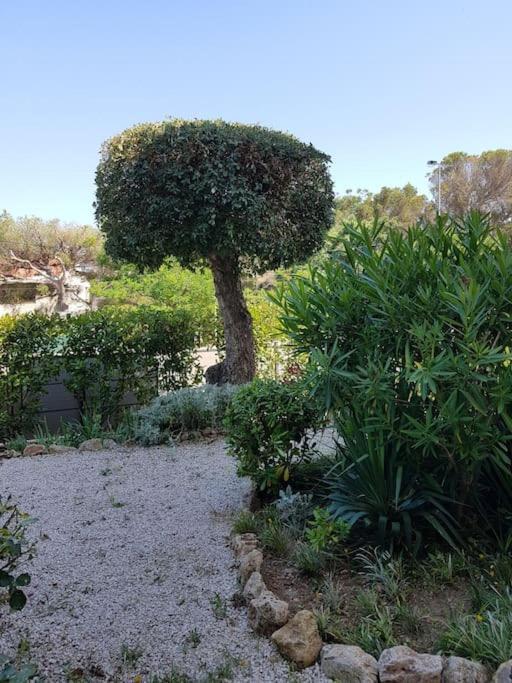 Appartement Joli A 100m De La Mer, Jardin Et Piscine Fréjus
